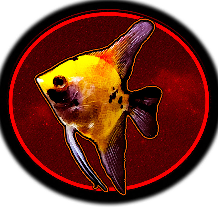 MasterAquatics Net Worth & Earnings (2026)