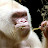 @yourtubisfilled7164 Avatar