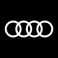 Audi Romania net worth