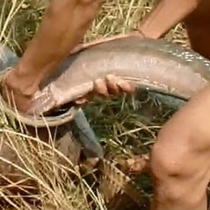 DUM TV Net Worth & Earnings (2026)