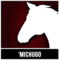 D'Michugo net worth