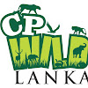 What could cp wild Lanka buy with $5.36 million?