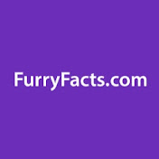 Furry Facts