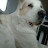 @user-ph3ur2id5f