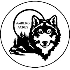 Amberg Acres net worth