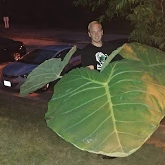 Thumbnail of related channel