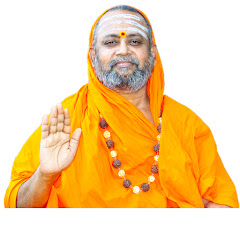 Swami Omkarananda Avatar