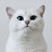 @user-nk7jb9eg7y