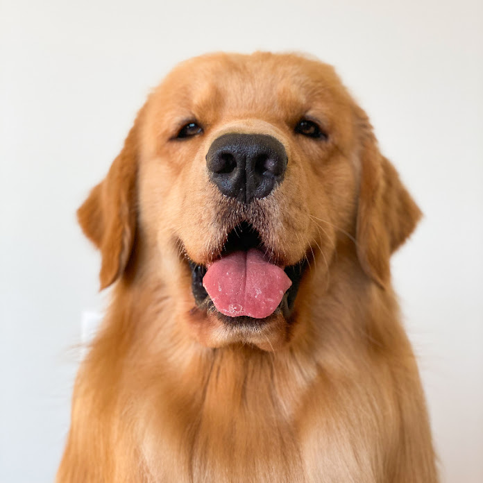 Tucker Budzyn Shorts Net Worth & Earnings (2026)