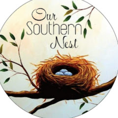 Our Southern Nest Adventure Avatar