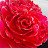@user-bx9zu3fm7c