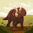 @lanasimic3564 Avatar