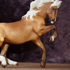 Breyer Trot net worth