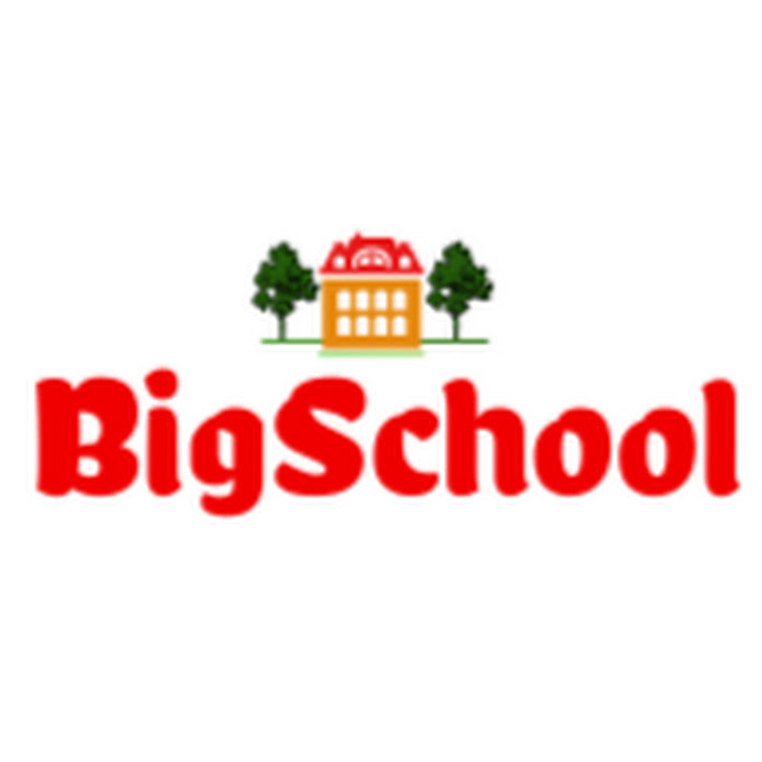 BigSchool Net Worth & Earnings (2024)
