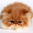 @user-xe9sb9rb2l