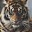 @user-fj9dr1iv2o