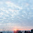 @user-ff7qc1ll4s