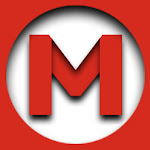 Max TV Net Worth