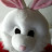 @bunnyrabbit3471