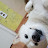 @user-zn2ku7if9z