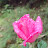 @user-il3nf8yv5h