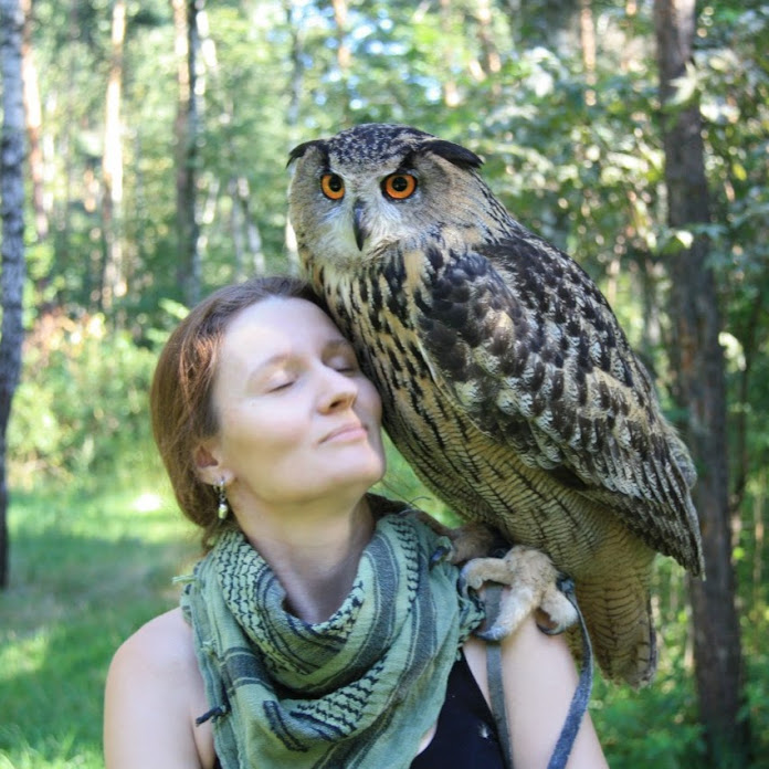 Yoll Net Worth & Earnings (2026)