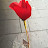 @user-mn9dt9hj2l