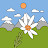 @user-zs1sc3mf8b