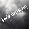What could Spor Delisi HD buy with $308.09 thousand?