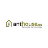 What could Anthouse buy with $2.34 million?