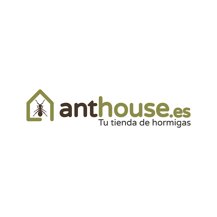 Anthouse Net Worth & Earnings (2026)