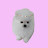 @user-xf6me4cm6u