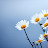 @chelseaaa7360