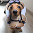 @woodong0402