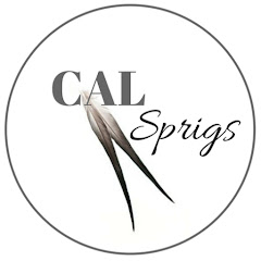 Cal Sprigs net worth