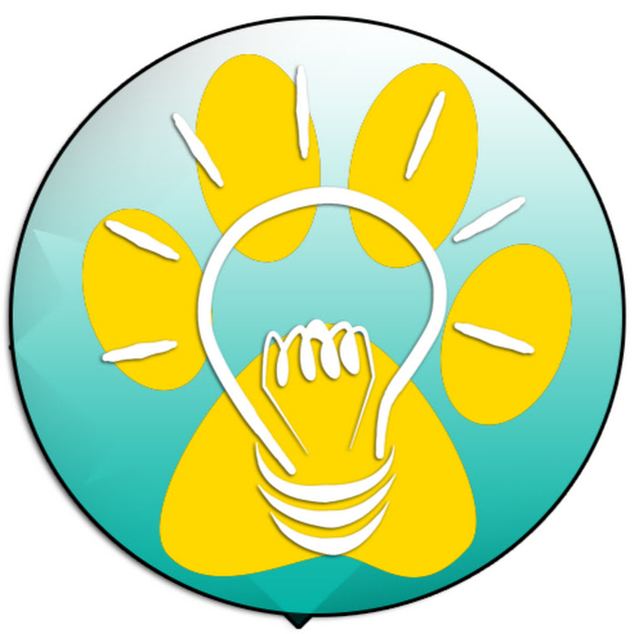 Info Yourself Net Worth & Earnings (2026)