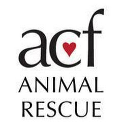 Thumbnail of related channel