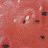 @user-nn6hd3qe1s
