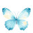 @user-by5fd9th8l