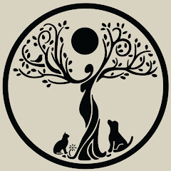 Thumbnail of related channel