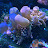 @fishwhistler7224 Avatar