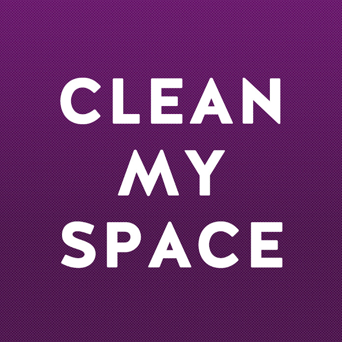 Clean My Space Net Worth & Earnings (2024)