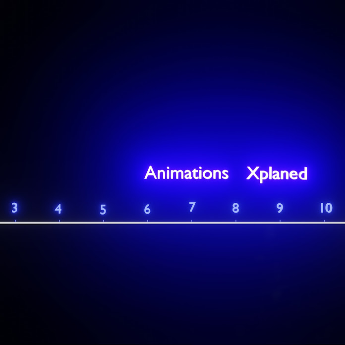 Animations Xplaned Net Worth & Earnings (2024)