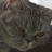 @user-je2hl5xp6o