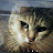 @user-sl4jy6mc5t