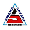 What could Aneka Safari Records buy with $9 million?