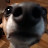 @user-we4mx8by8k