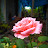@prashanths9062 Avatar