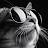 @dg7438 Avatar