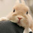@user-zw8tl9pe7t